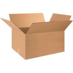 Packaging Carton